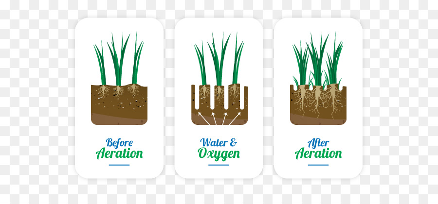 Logo，Herbes PNG