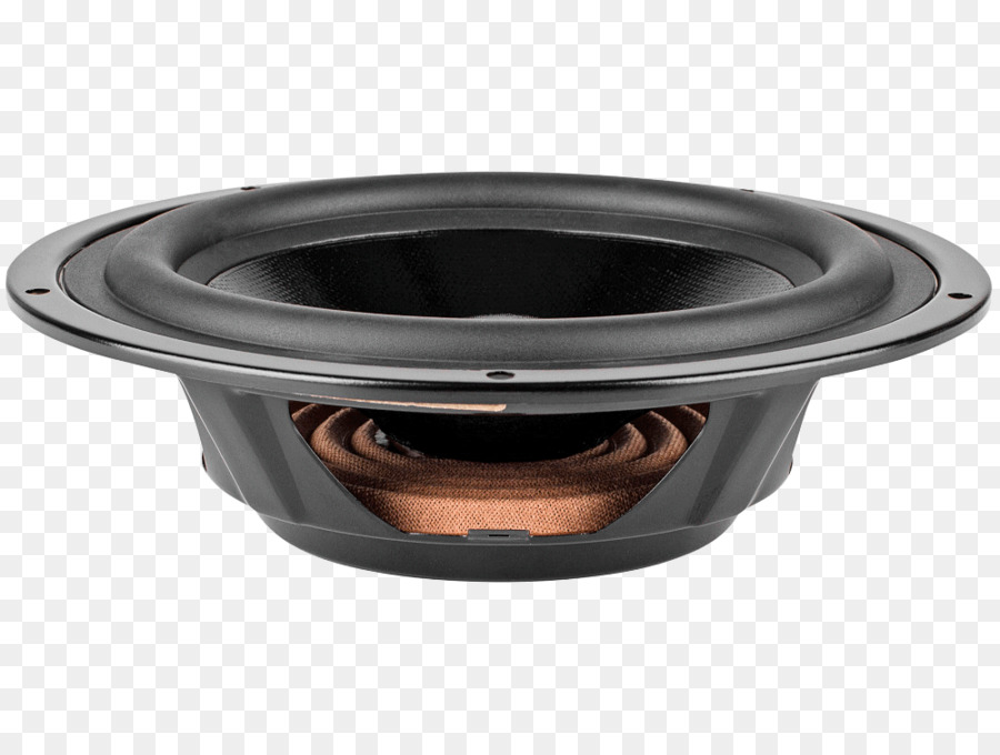 Conférencier，Audio PNG