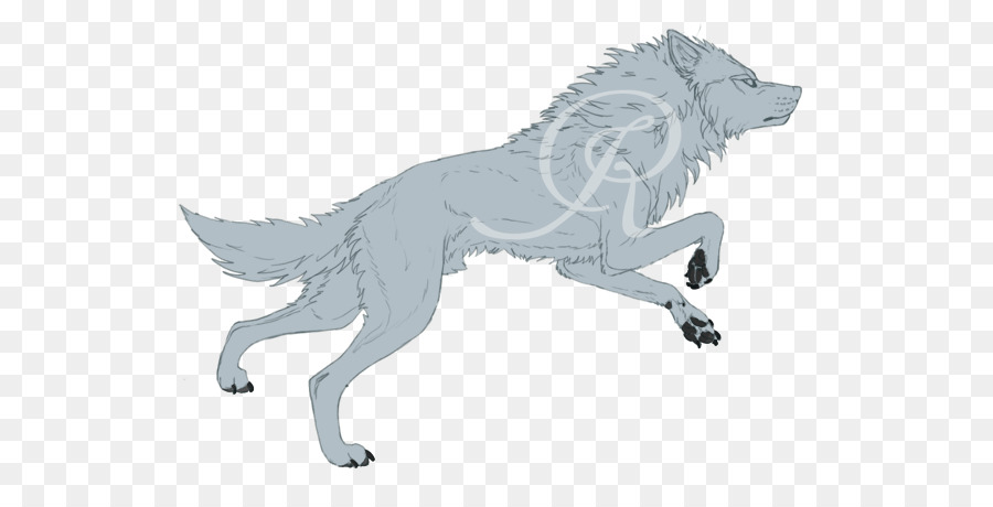 Loup，Blanc PNG