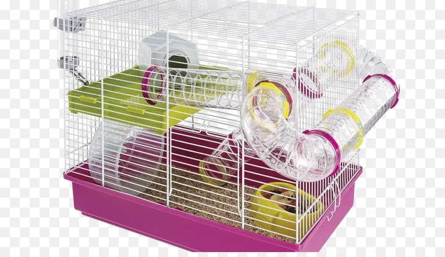 Cage à Hamsters，Hamster PNG