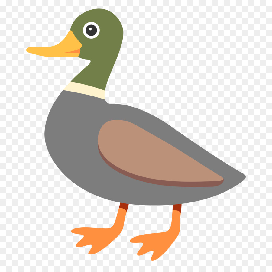 Mallard，Canard PNG