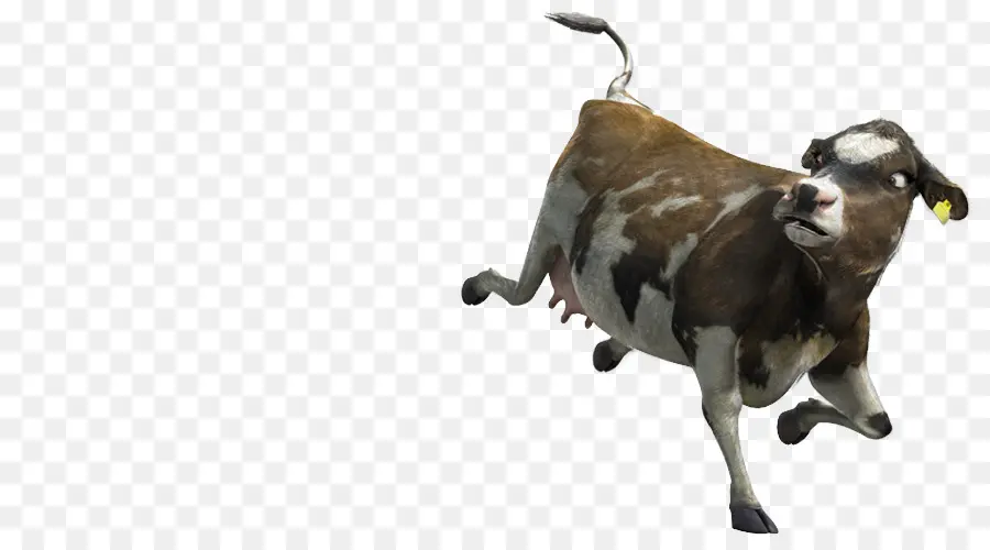 Vache，En Cours D'exécution PNG