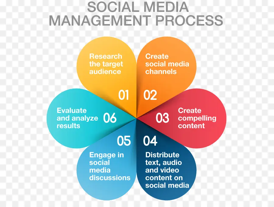 Gestion Des Médias Sociaux，Processus PNG