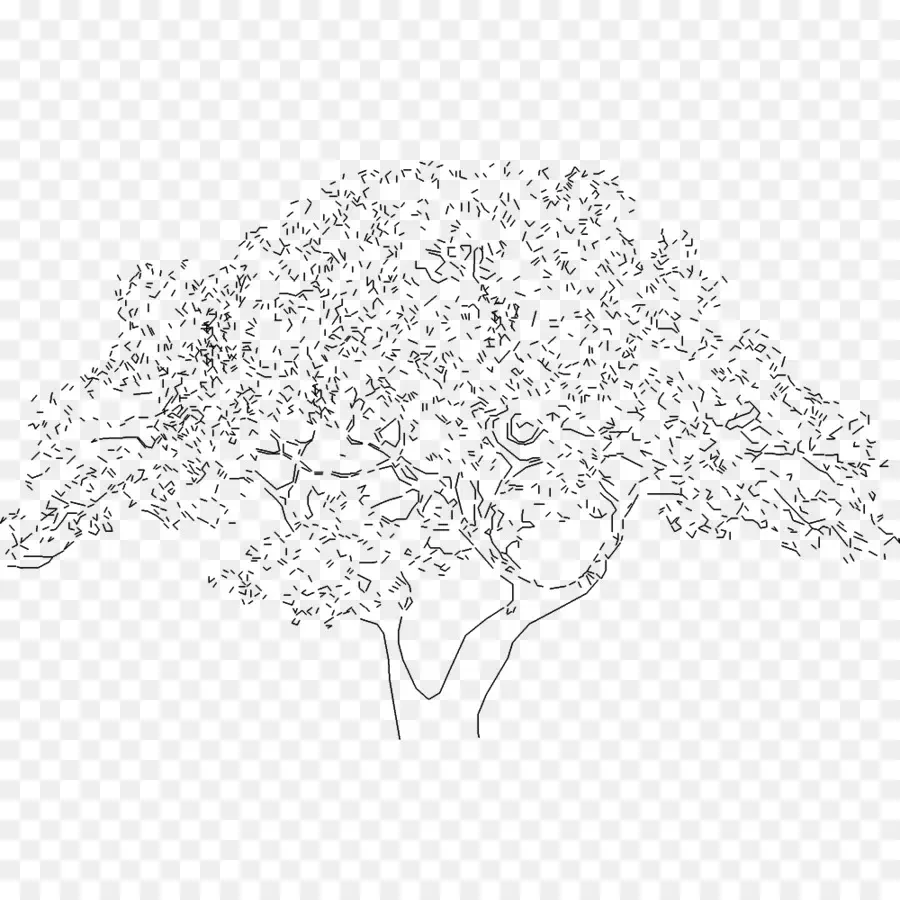 Arbre De Dessin Au Trait，Nature PNG