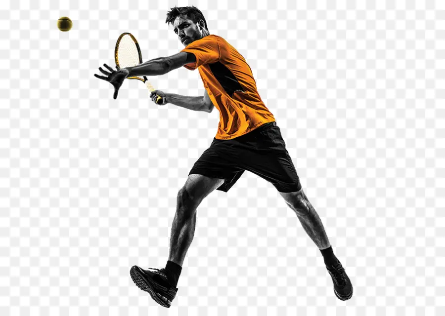 Joueur De Tennis，Sport PNG