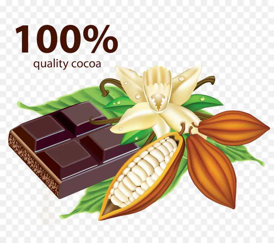 Chocolat，Cacao PNG