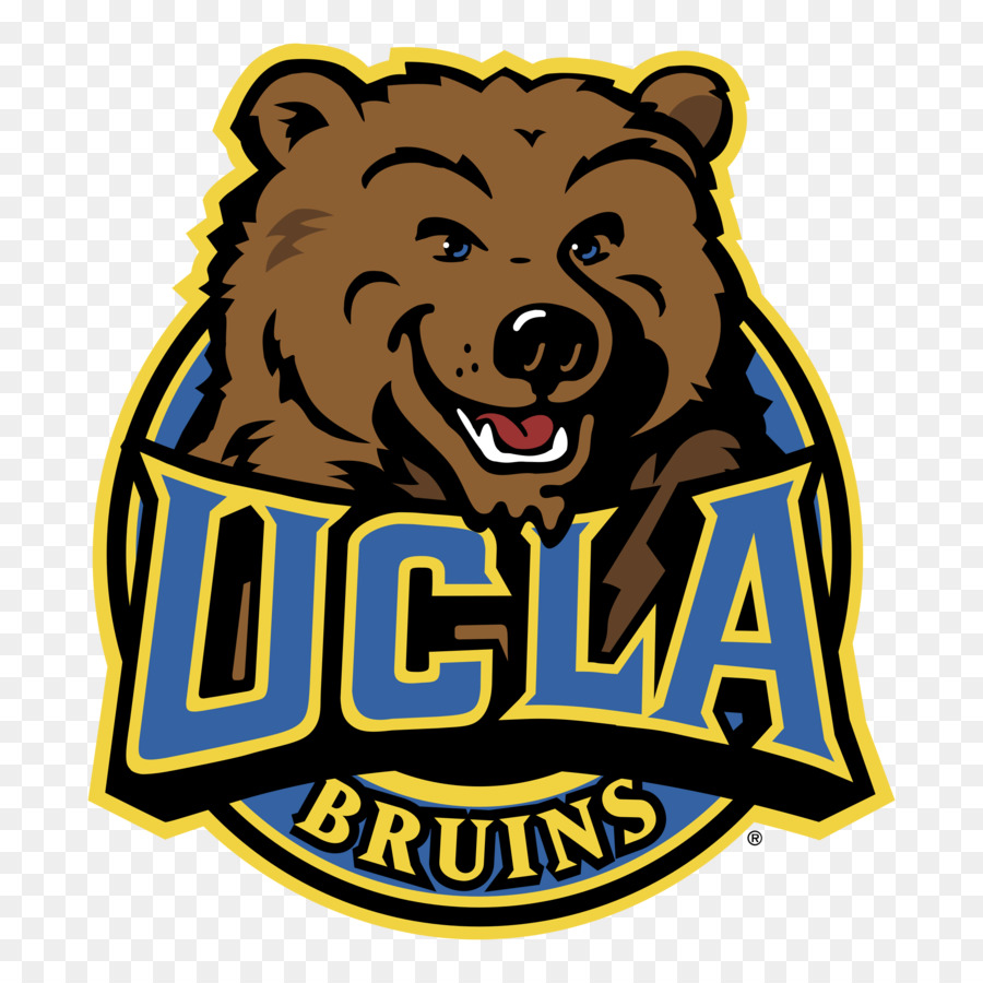 L Université De Californie à Los Angeles，Ucla Bruins De Basket Ball Des Hommes PNG