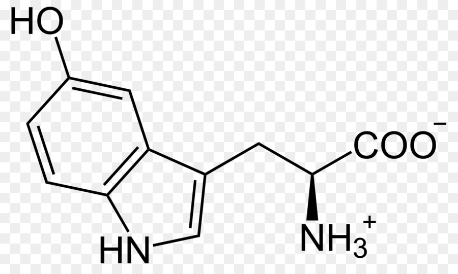 5hydroxytryptophan，Le Tryptophane PNG