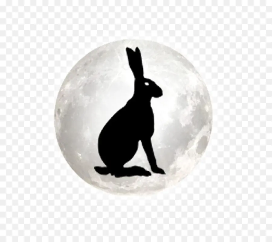 Silhouette De Lapin，Lune PNG