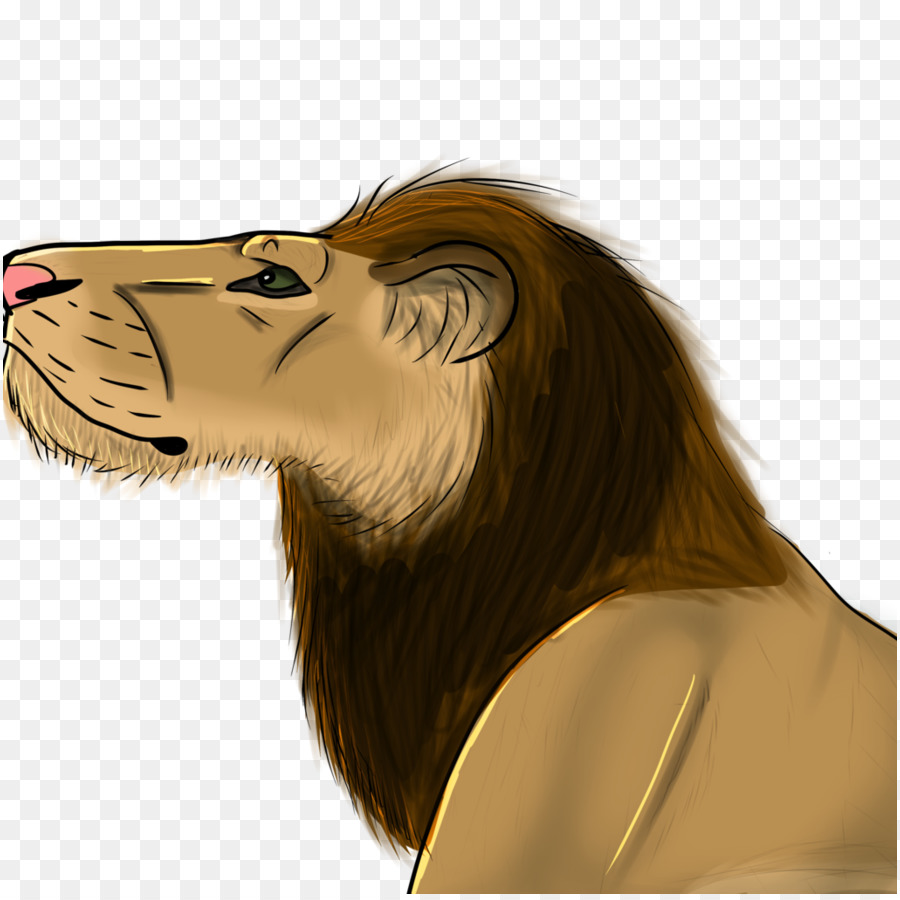 Lion，étrangers PNG