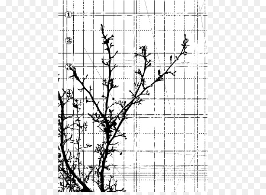 Timbre En Caoutchouc，Caoutchouc Naturel PNG