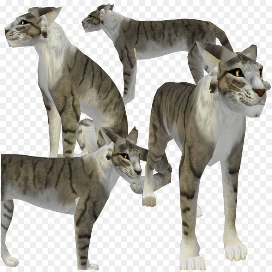 Chat De Bengal，Chat Sauvage PNG