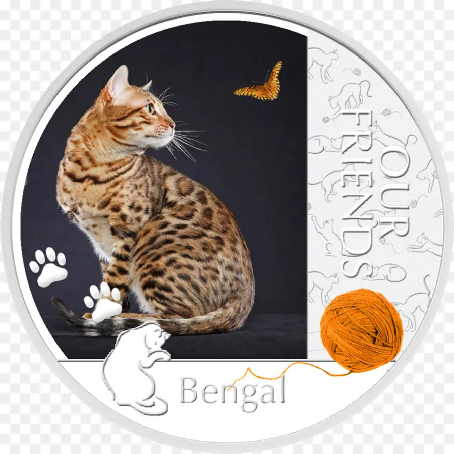 Chat Bengale，Jouet PNG