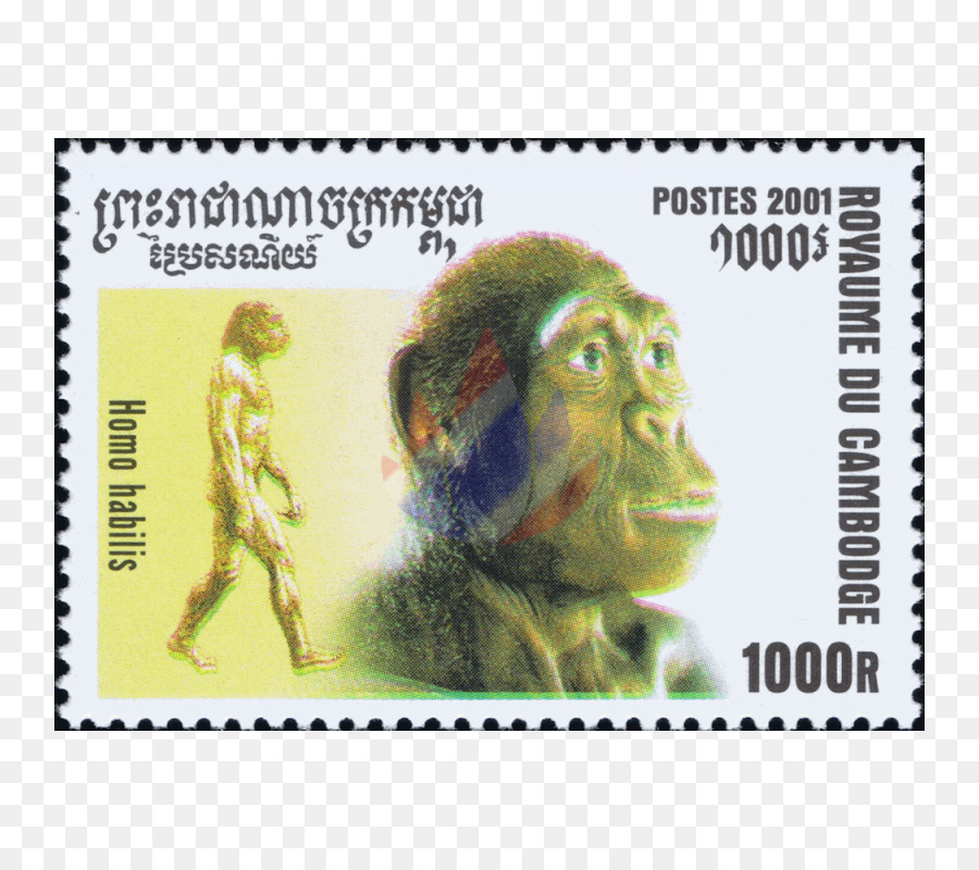 Timbres Poste，Animal PNG