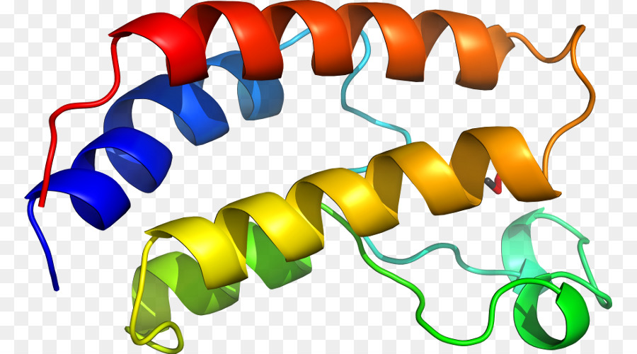 Ligne，Jaune PNG