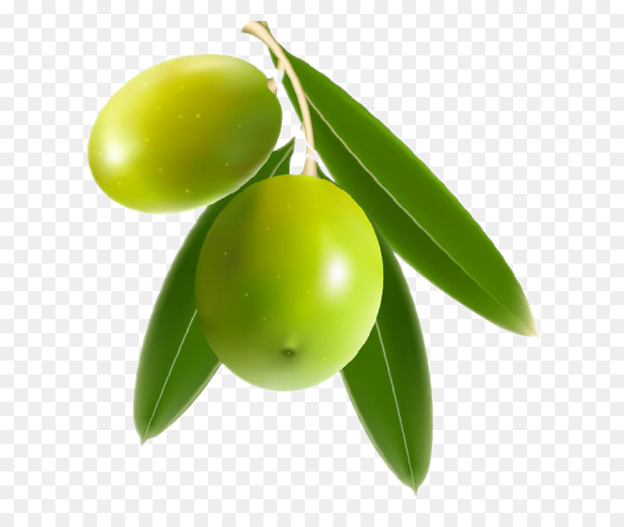 Olives，Fruit PNG