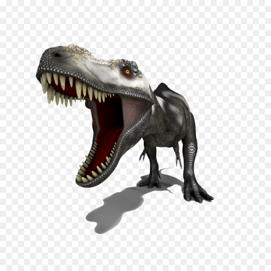 Dinosaure，Dents PNG