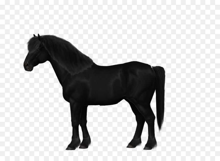 Cheval，Esquisser PNG