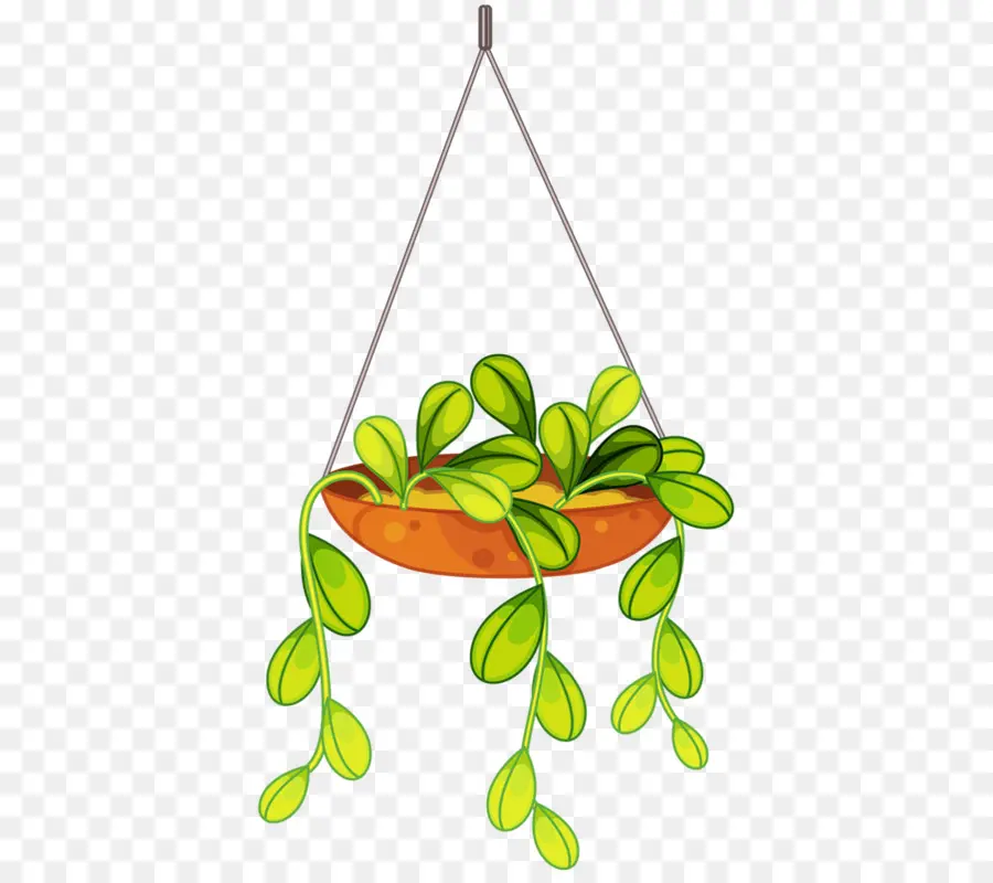 Plante Suspendue，Feuilles PNG