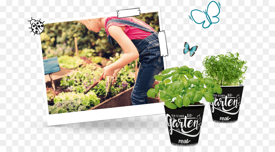 Flowerpot，En Plastique PNG