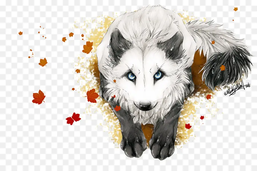 Loup，Blanc PNG