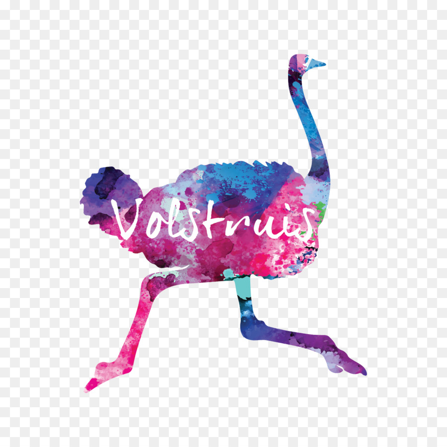 Commune De Autruche，Volstruis L Art Le Design Studio PNG