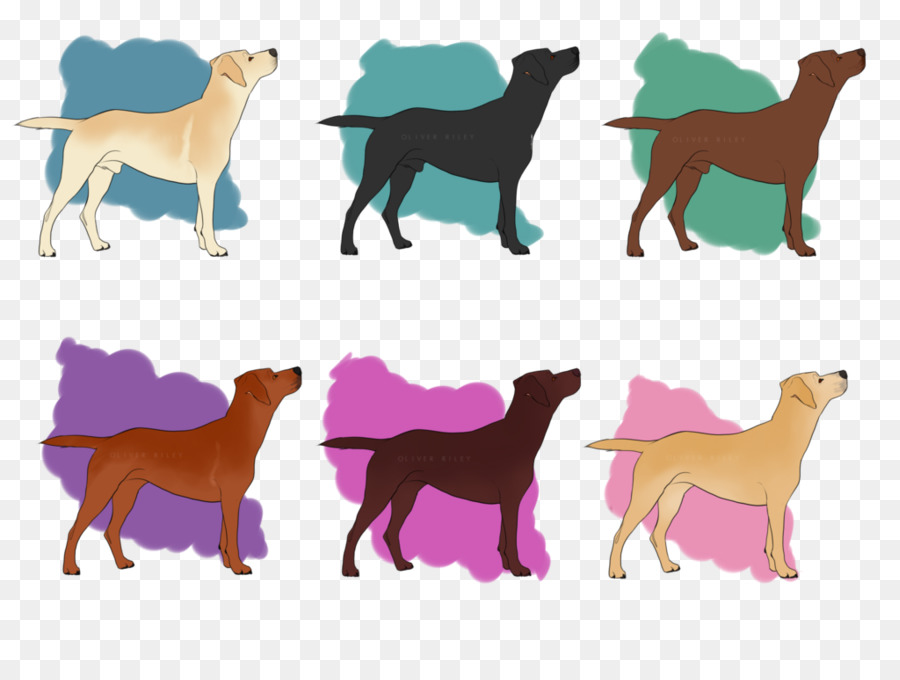 Chiens，Animaux De Compagnie PNG