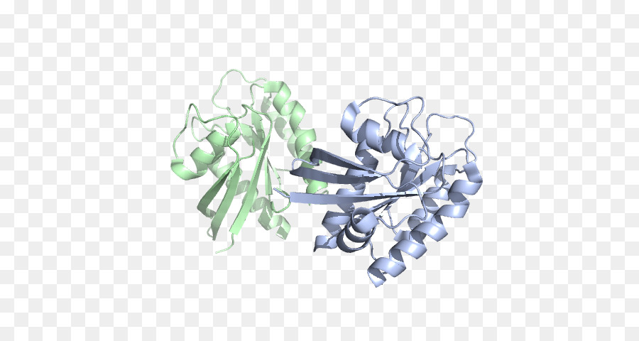 Structure Des Protéines，Molécule PNG