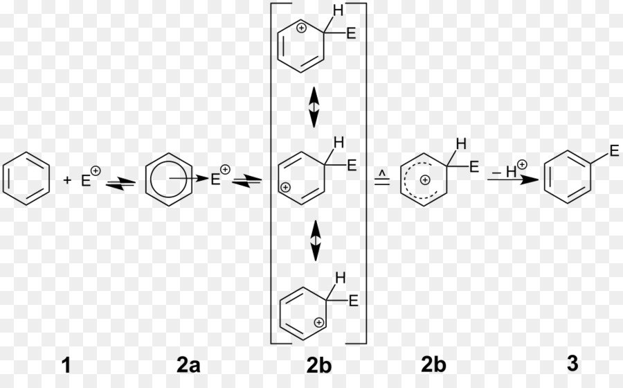 Substitution Aromatique électrophile，Réaction De Substitution PNG