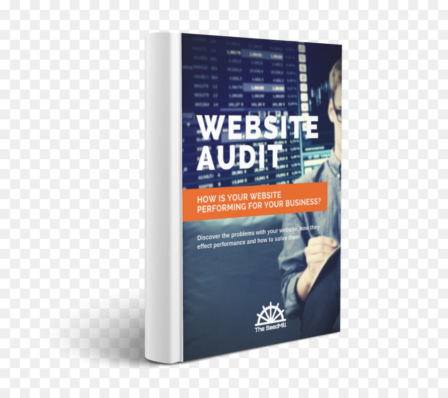 L Audit De Site，Audit PNG