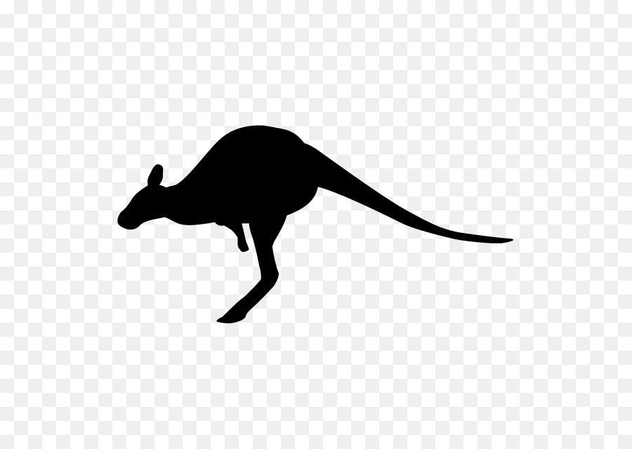 Macropodidae，Silhouette PNG