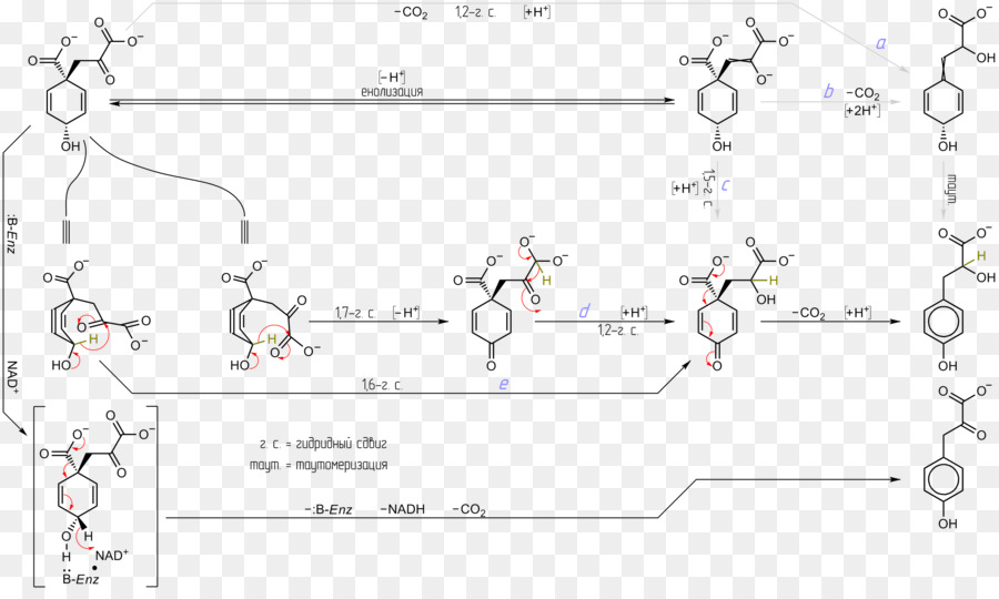 Diagramme De Réaction Chimique，Chimie PNG