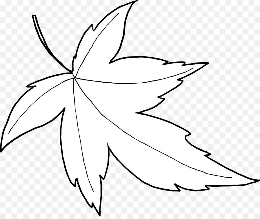 Feuille，Contour PNG