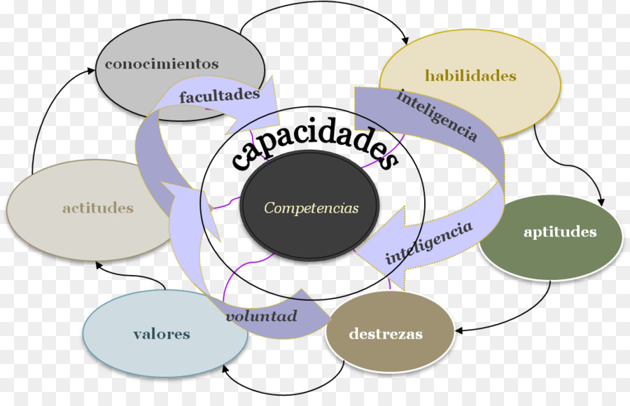 Curriculum Competencybased，La Concurrence PNG