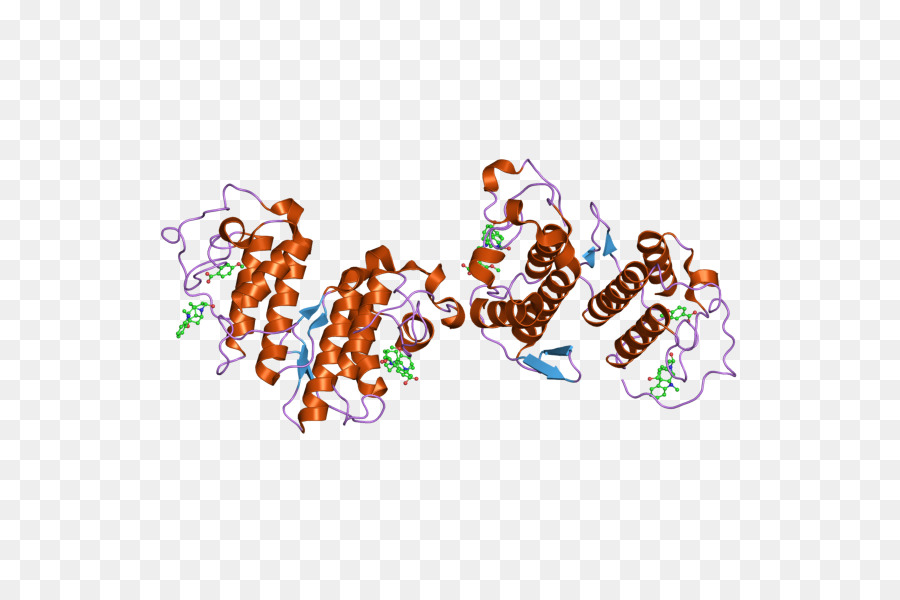 Structure Des Protéines，Molécule PNG