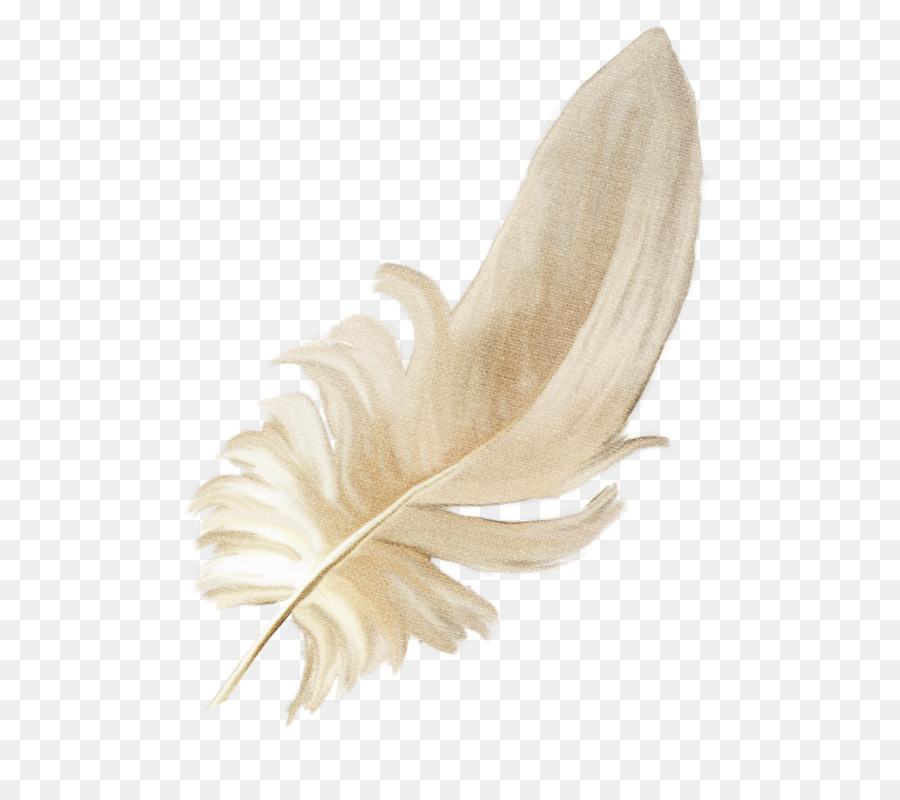 Plume，Vêtements PNG