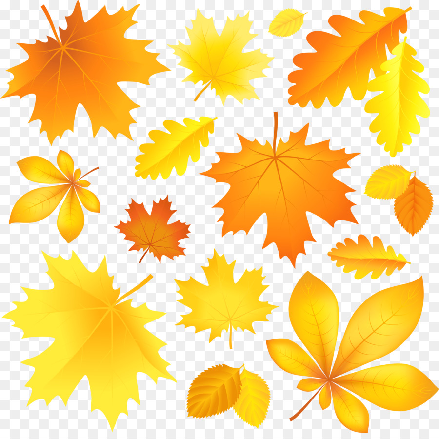 Feuilles D'automne，Automne PNG