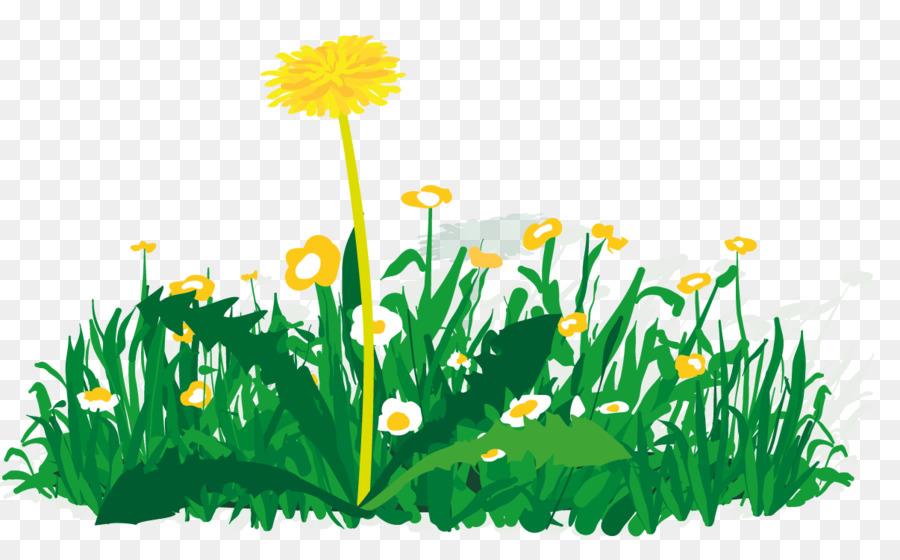 Fleurs Jaunes，Fleurs PNG