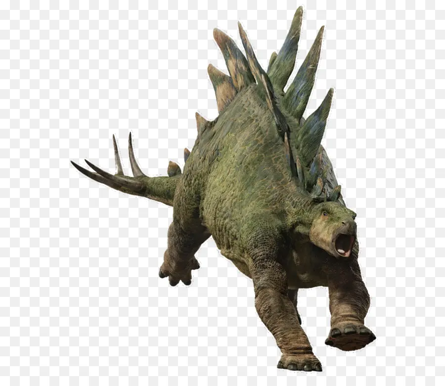 Dinosaure，Stegosaurus PNG