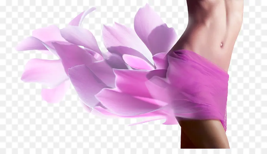 Robe Pétales，Rose PNG