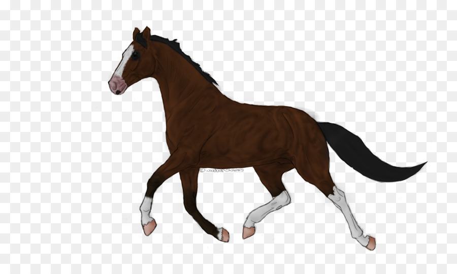 Cheval Qui Court，Animal PNG