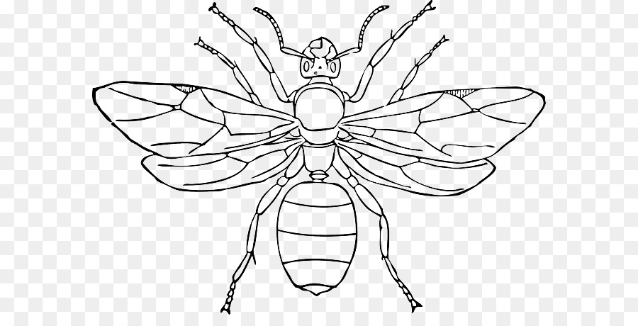 Abeille，Ailes PNG