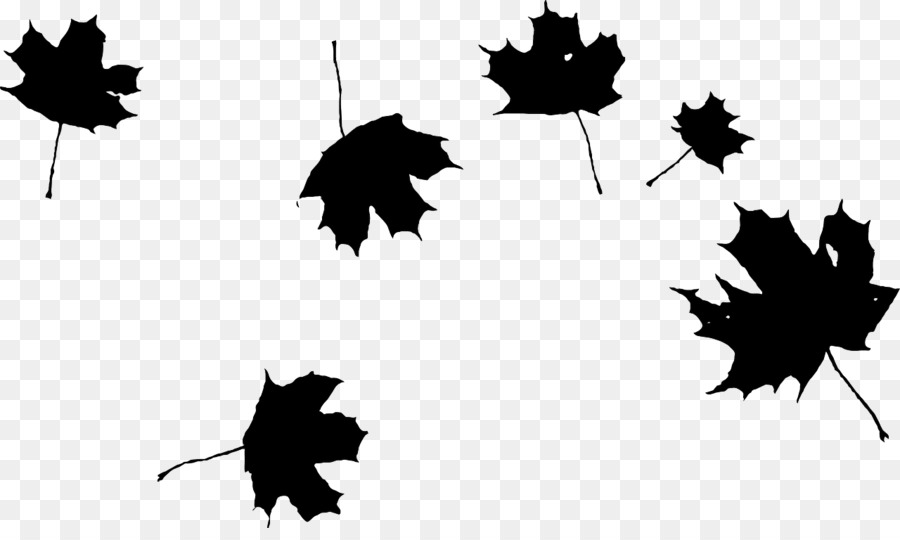 Feuilles D'automne，Feuillage PNG