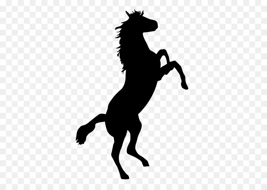 Cheval Noir，Silhouette PNG