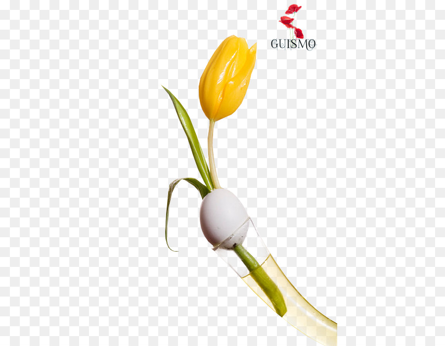 Tulip，Pâques PNG