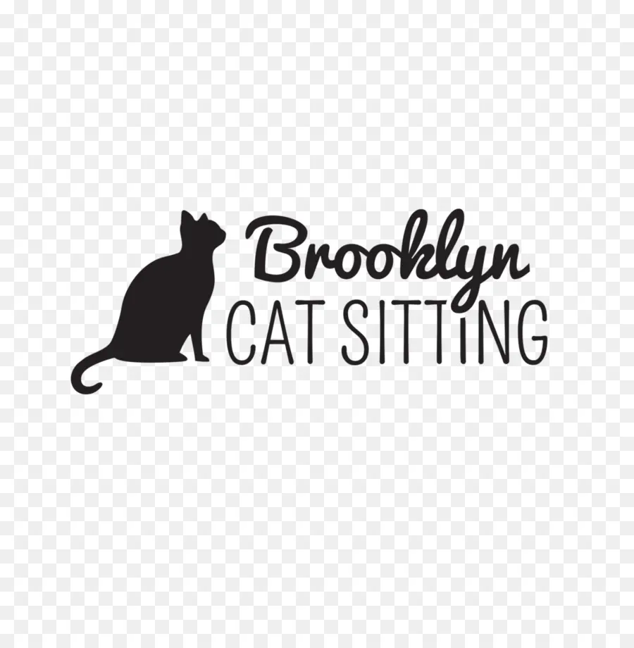 Chat De Brooklyn Assis，Chat PNG