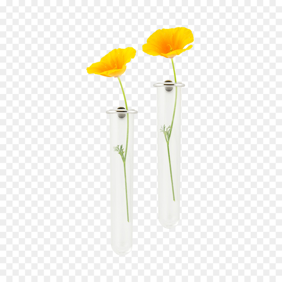 Les Fleurs Coupées，Vase PNG