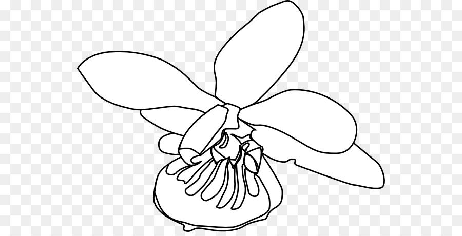 Les Orchidées，Dendrobium PNG