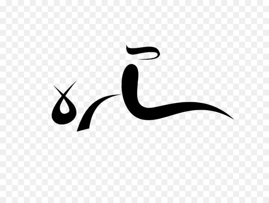 Calligraphie Arabe，Scénario PNG