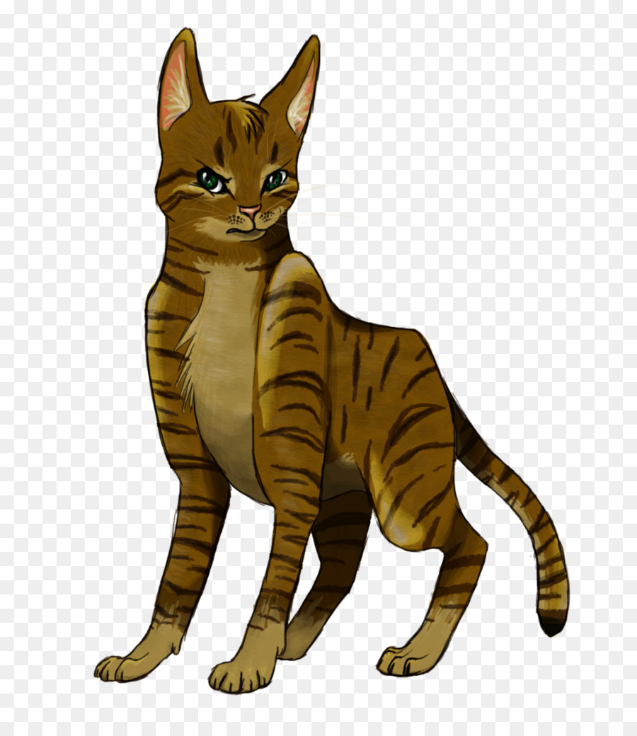 Chat Tacheté，Félin PNG